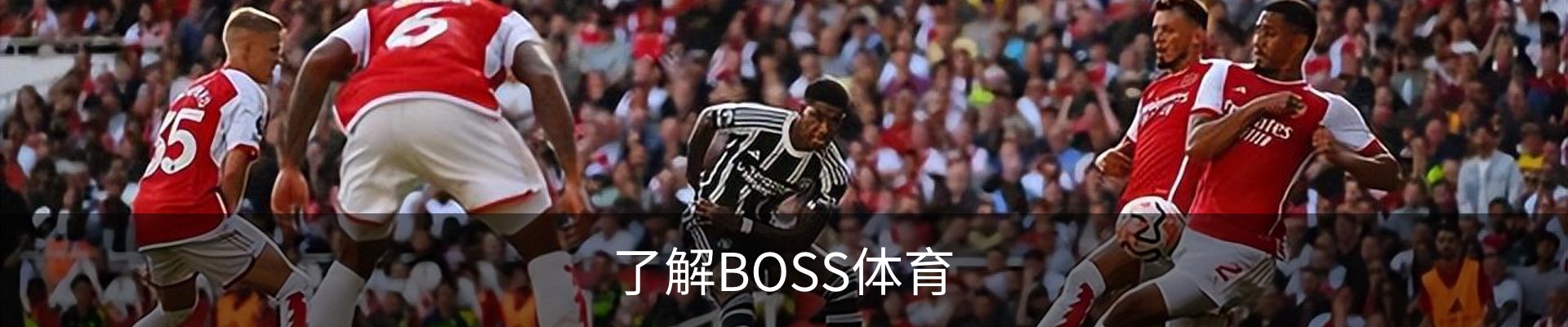 了解BOSS体育